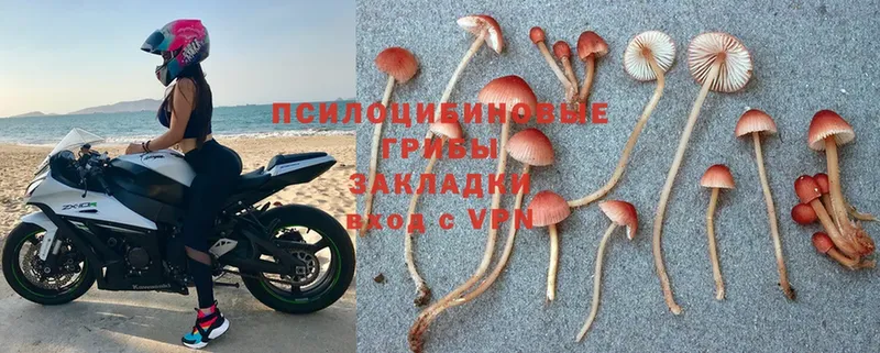 Галлюциногенные грибы MAGIC MUSHROOMS  купить наркотики сайты  Люберцы 